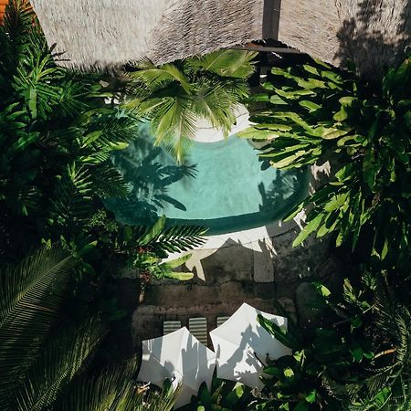 Conga Boutique Hotel Puerto Viejo de Talamanca Zewnętrze zdjęcie