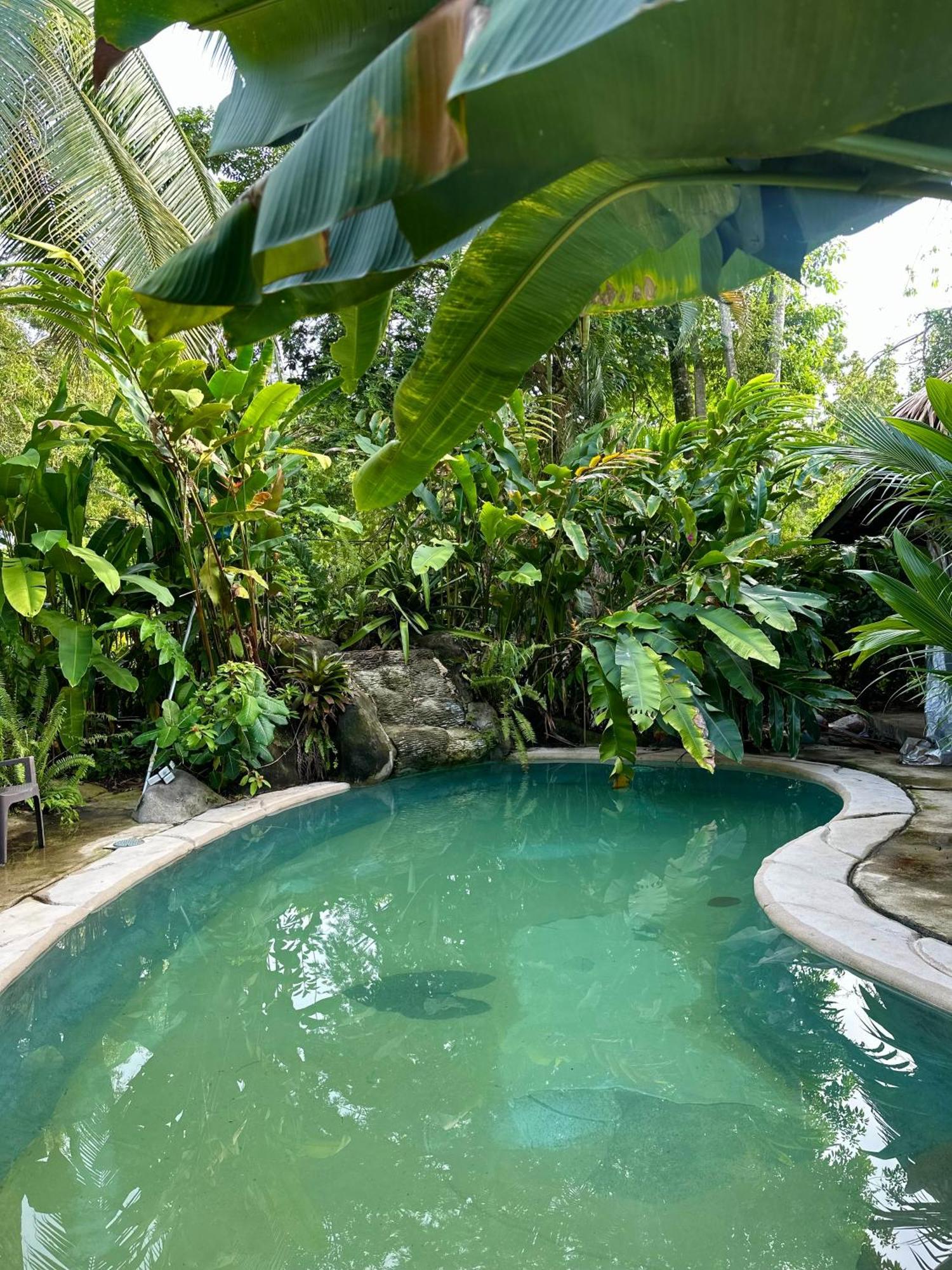 Conga Boutique Hotel Puerto Viejo de Talamanca Zewnętrze zdjęcie