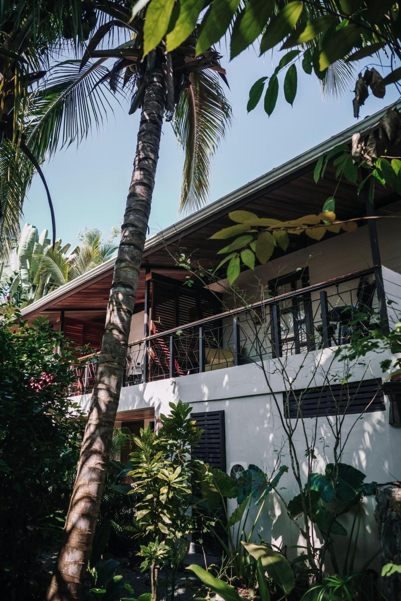 Conga Boutique Hotel Puerto Viejo de Talamanca Zewnętrze zdjęcie