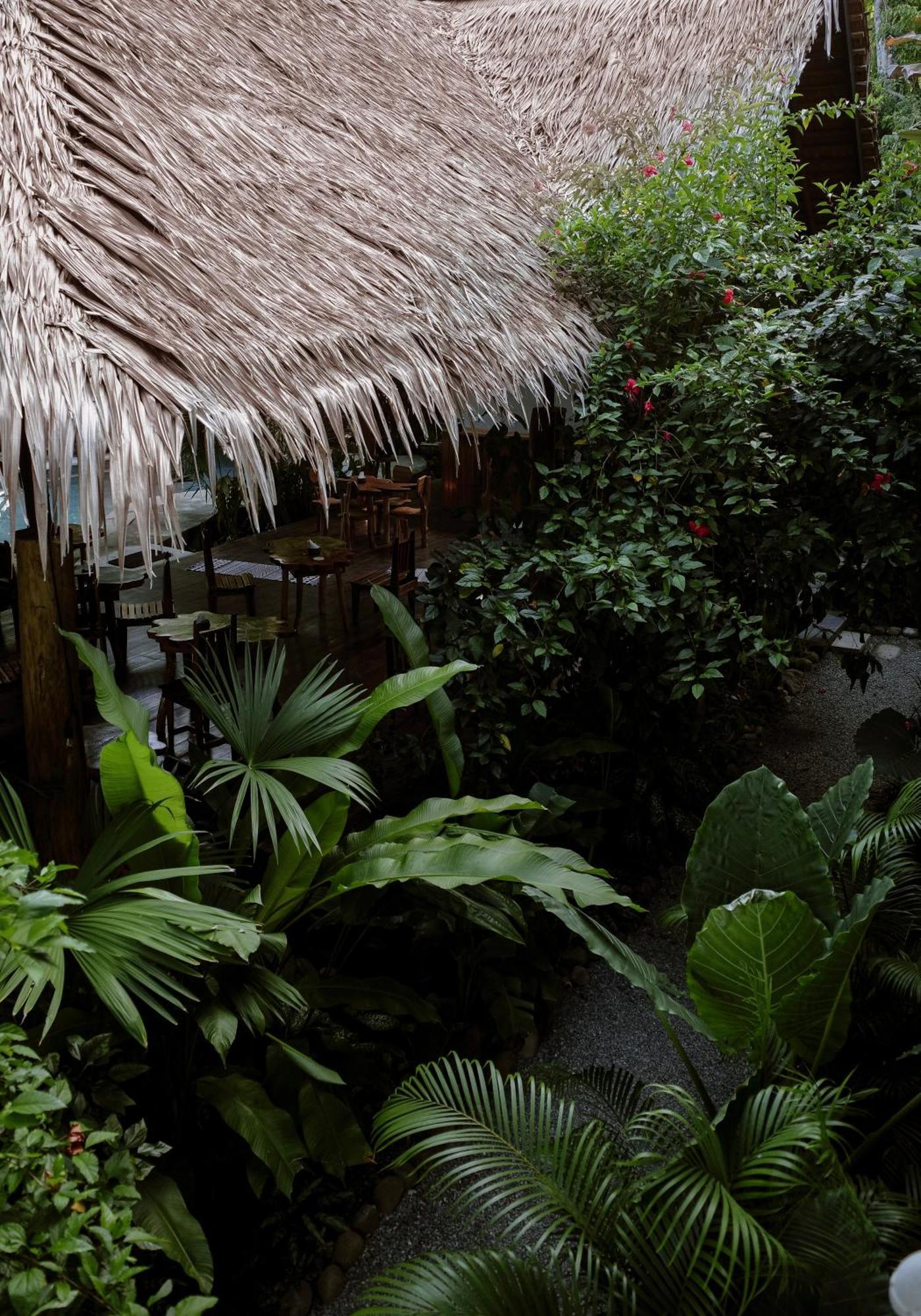 Conga Boutique Hotel Puerto Viejo de Talamanca Zewnętrze zdjęcie