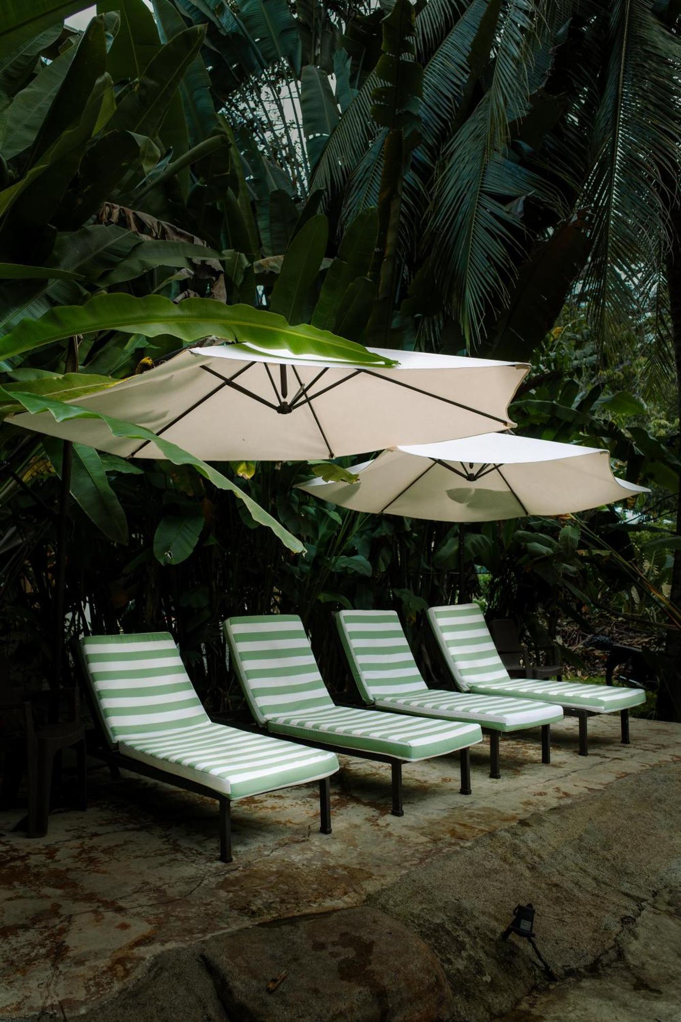 Conga Boutique Hotel Puerto Viejo de Talamanca Zewnętrze zdjęcie
