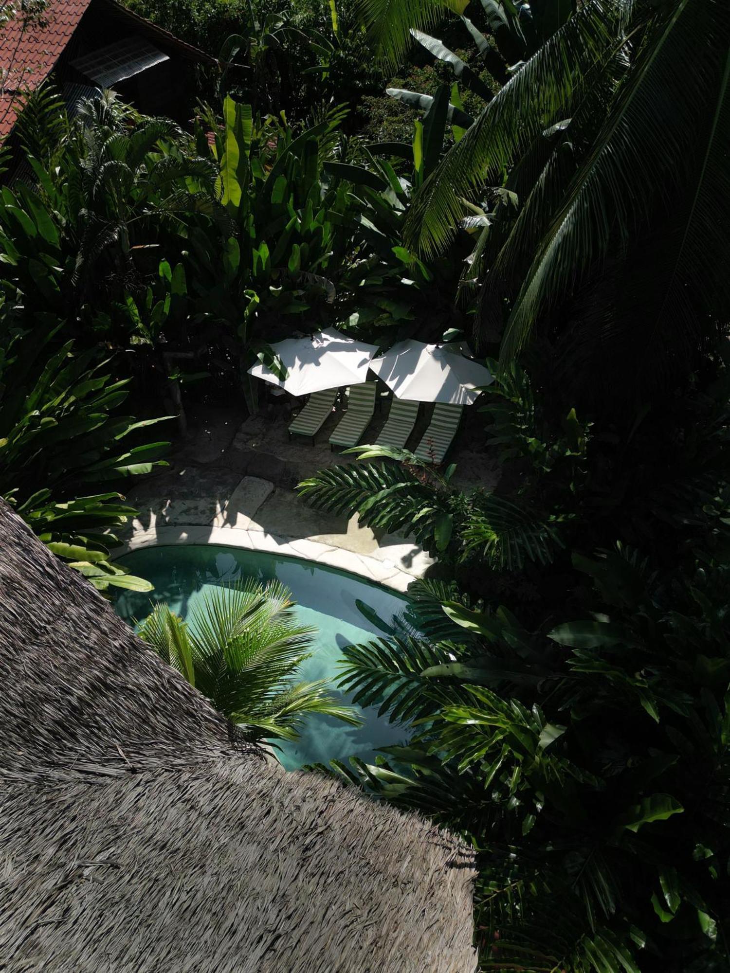 Conga Boutique Hotel Puerto Viejo de Talamanca Zewnętrze zdjęcie